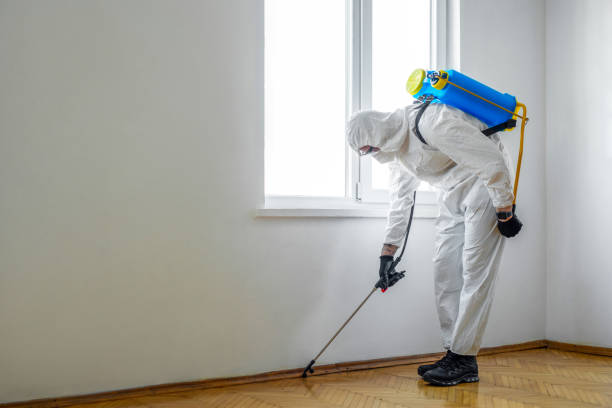 Best Emergency Pest Control  in Miami Beach, FL